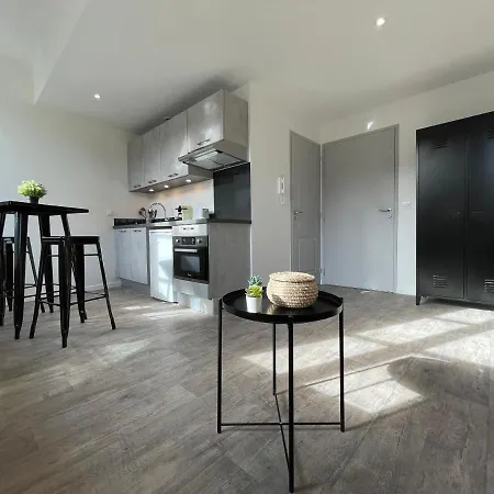 Apartment Climatises En Hyper Centre *